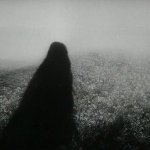 Ника - Бумажные цветы