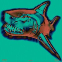 ЛАВЛИ - АКУЛЫ