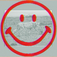 ELWD - A JOY FOREVER