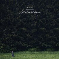 Мэйти - Седые короли