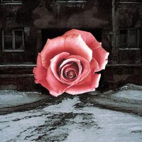 TAIYGA - Звезда