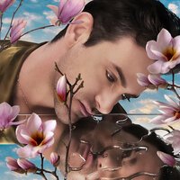 Josef Salvat - I'm Sorry