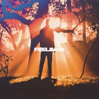 Nettson feat. Covira - Feelings