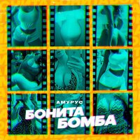 Амурус - Бонита Бомба