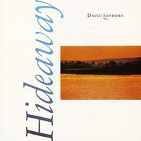 David Sanborn - The Seduction