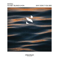 Mateo & Outset Island feat. Koa - Why Don't You See