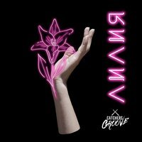 Catchers Groove - Лилия