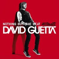 David Guetta Feat. Ne-Yo & Akon - Play Hard (Extended Mix)