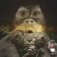 Lx24 feat. Nurshat Asymov - Танцы под луной (remix)