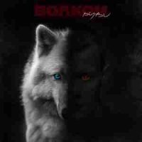 РУВИ - Волком