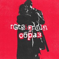 NETSIGNALA - Образ