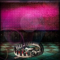 SENIXXX - Капкан