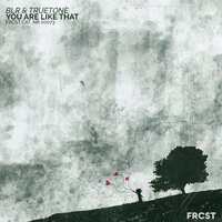 BLR feat. Truetone - You Are Like That