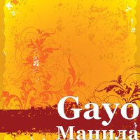 Gayo - Манила