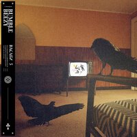 Bumble Beezy - Васаби 5