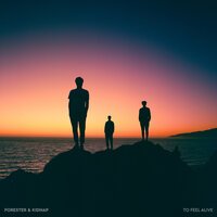Forester feat. Kidnap - To Feel Alive