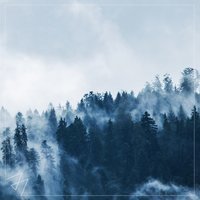 Madilyn Bailey - Perfect