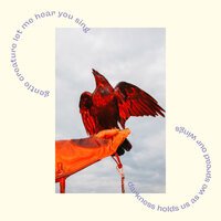 Tara Nome Doyle feat. Henrik Johansson Havelka - Crow