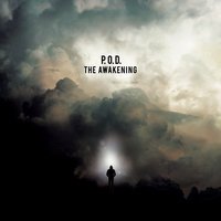 P.O.D. - Am I Awake