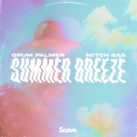 Orum Palmer feat. Mitch Bag - Summer Breeze