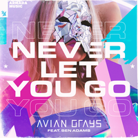 Avian Grays feat. Ben Adams - Never Let You Go