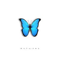 Kartvelli feat. NAPASTAK - Мотылёк