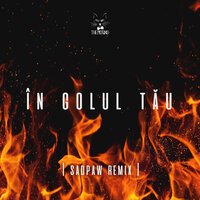 The Motans - In Golul Tau (Sadpaw Remix)