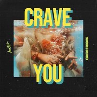 Paradigm feat. Dan Owen - Crave You