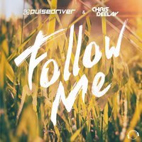 Pulsedriver & Chris Deelay - Follow Me (Moombahton Edit)