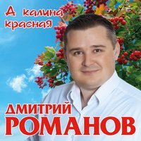 Дмитрий Романов feat. Вова Шмель - Красавица-девчонка