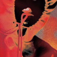 Nippandab feat. 5lowers - Everything I Like