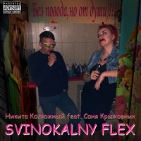 Никита Колюжный feat. Соня Крыжовник - Svinokalny Flex