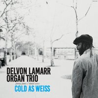 Delvon Lamarr Organ Trio - Slip 'N' Slide