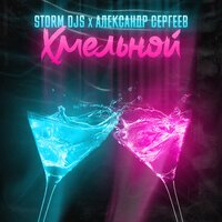 Storm DJs feat. Александр Сергеев - Хмельной (Extended)