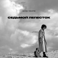 Антон Токарев - Седьмой Лепесток (DJ Safiter Radio Edit)