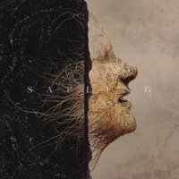 Foy Vance feat. Rag'n'Bone Man - Sapling