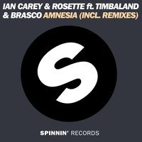 Ian Carey & Rosette feat. Timbaland & Brasco - Amnesia (Club Mix)