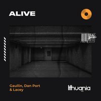 Gaullin faet. Dan Port & Lacey - Alive
