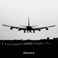 WEGAS - Самолет