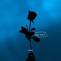 Tanel - Не Жди