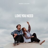 Skandy feat. lialiaon - Love You Need