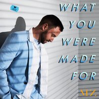 Mans Zelmerlow - What You Were Made For
