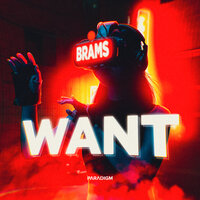 Brams - Want