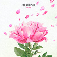 Zaur feat. MEIRINKITO - Пионы