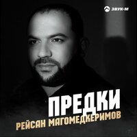Рейсан Магомедкеримов - Предки