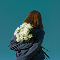 Carapacee - Простая