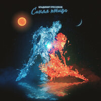 Владимир Пресняков - Синяя Птица