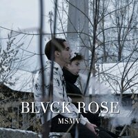 MSMV  - Rose