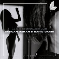 Baris Cakir feat. Volb3x - Loco