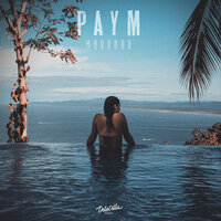 Paym - Миллион